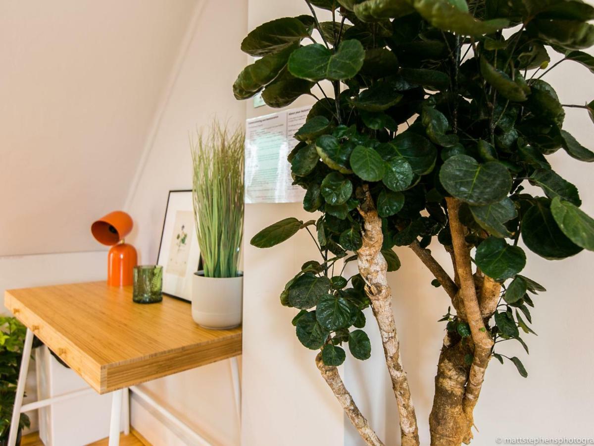 Exquisite 3Bdr Botanical Oasis In Central Brighton Eksteriør bilde